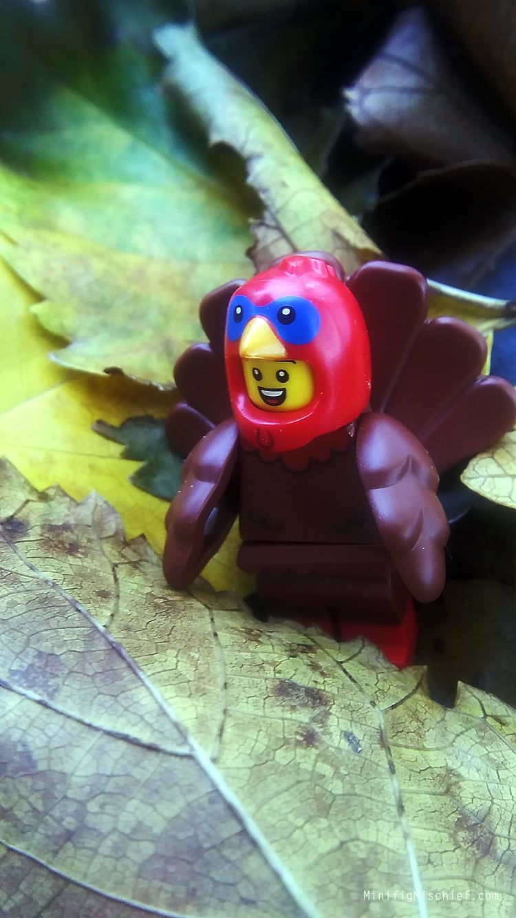 toy mini figure in a turkey costume. he is walking in a pile of fallen leaves.