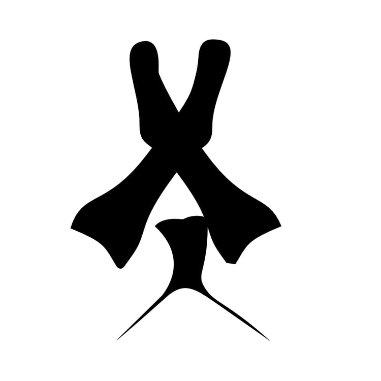 view of a woman from behind