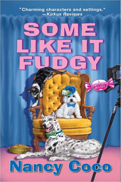 Some Like It Fudgy — Nancy Coco
