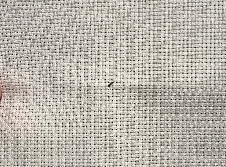 aida fabric with centre marked