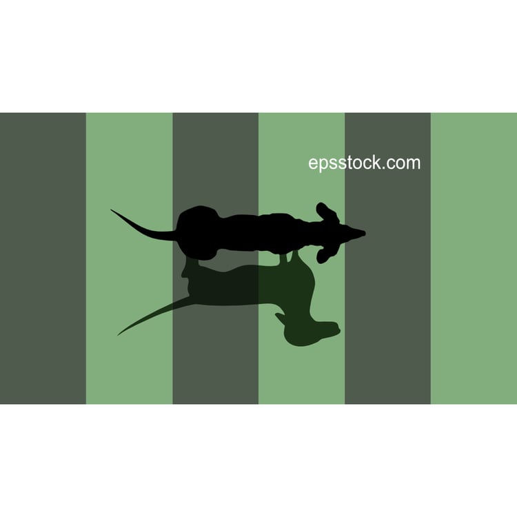 top view of a dachshund, flat color vector illustration