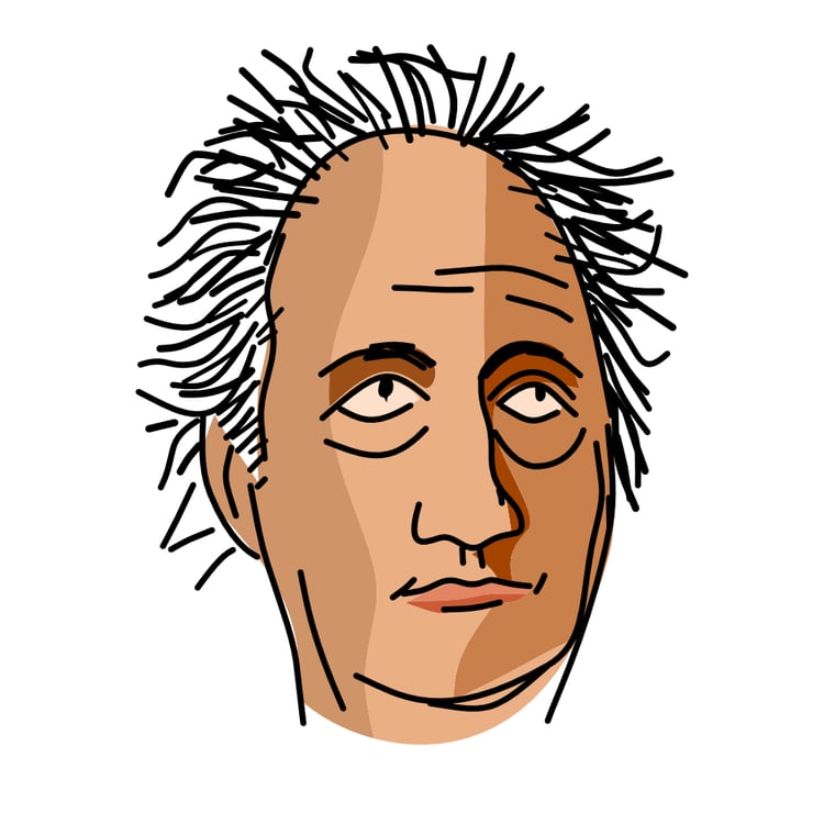 Johann Wolfgang von Goethe portrait, flat vector illustration
