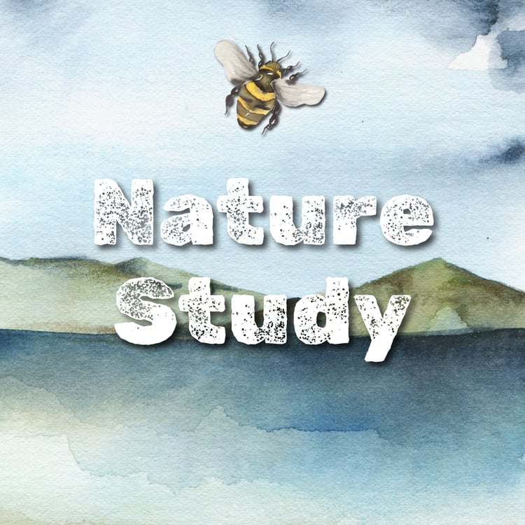 Nature study resources for children, printable packs