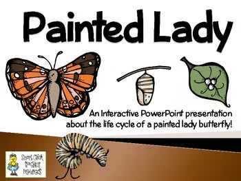 Painted Lady Butterflies ~ An Interactive Presentation of Their Life Cycle