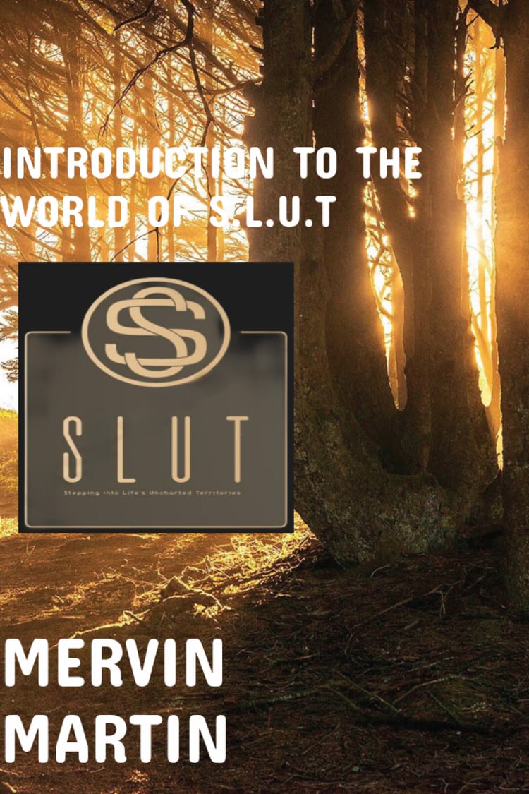 Introduction to the S.L.U.T World
