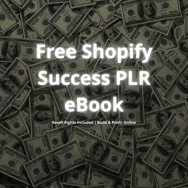 cover image for success with shopify