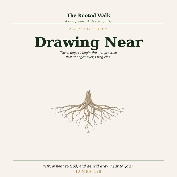 The Rooted Walk