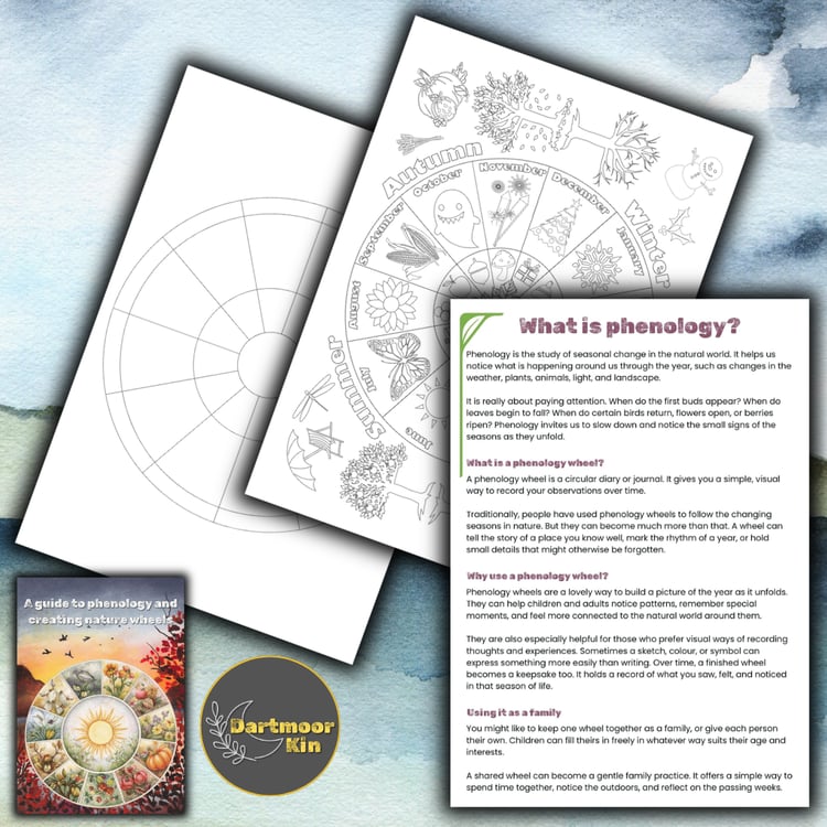 Printable phenology wheel pack with circular nature journalling templates for recording seasonal changes, weather, wildlife, moon phases, and family observations through the year.
