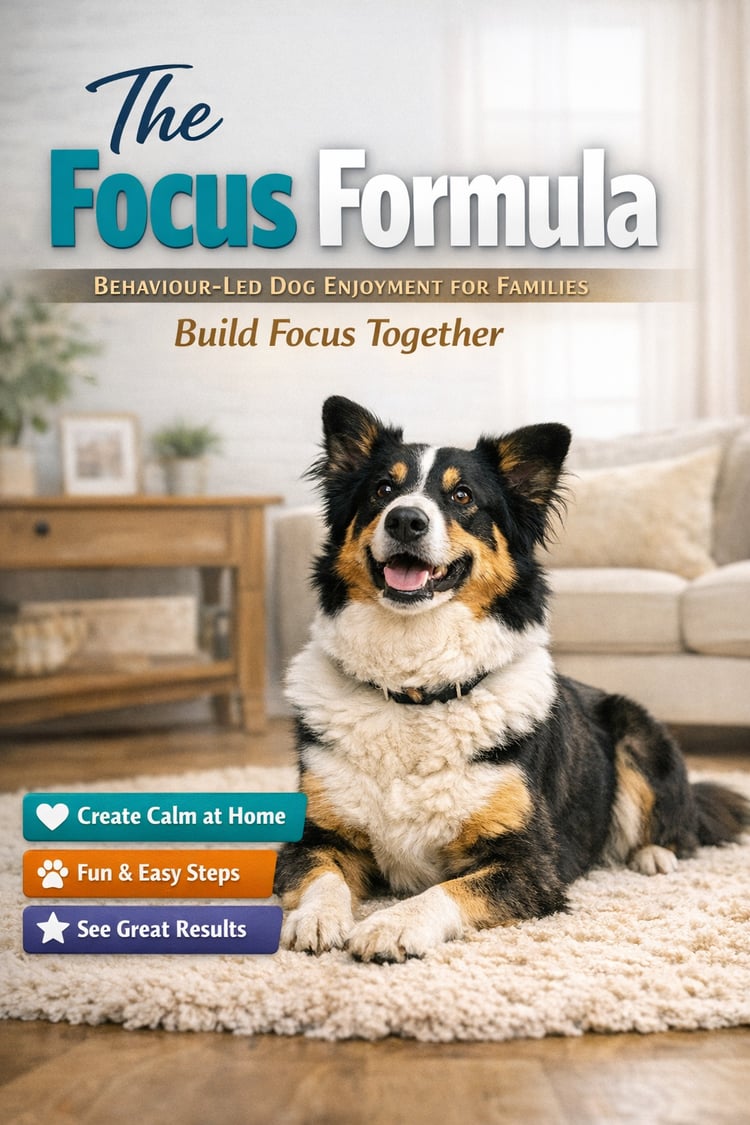 Dog training course thumbnail showing calm, well‑behaved dog.