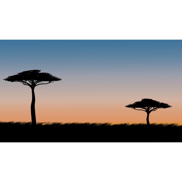 safari sunset, flat vector illustration