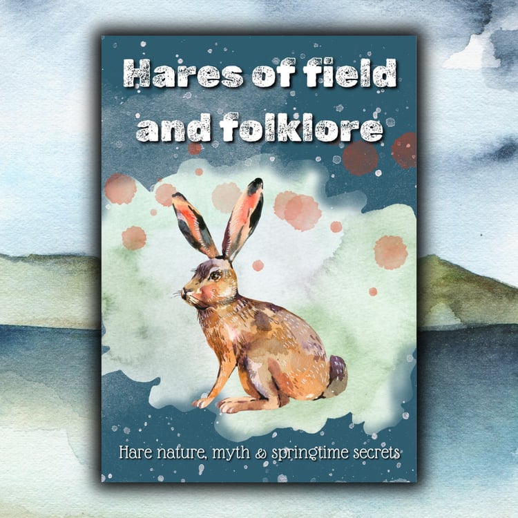 All about hares | UK facts and folklore | Dartmoor Kin | printable download