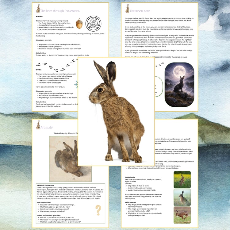 Hares facts and folklore by Dartmoor Kin. digital pack