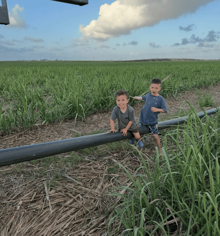 Kids riding a hose for fun on a sugarcane farm.
