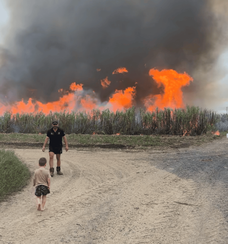 Cane fire in a sugarcane field during harvest.