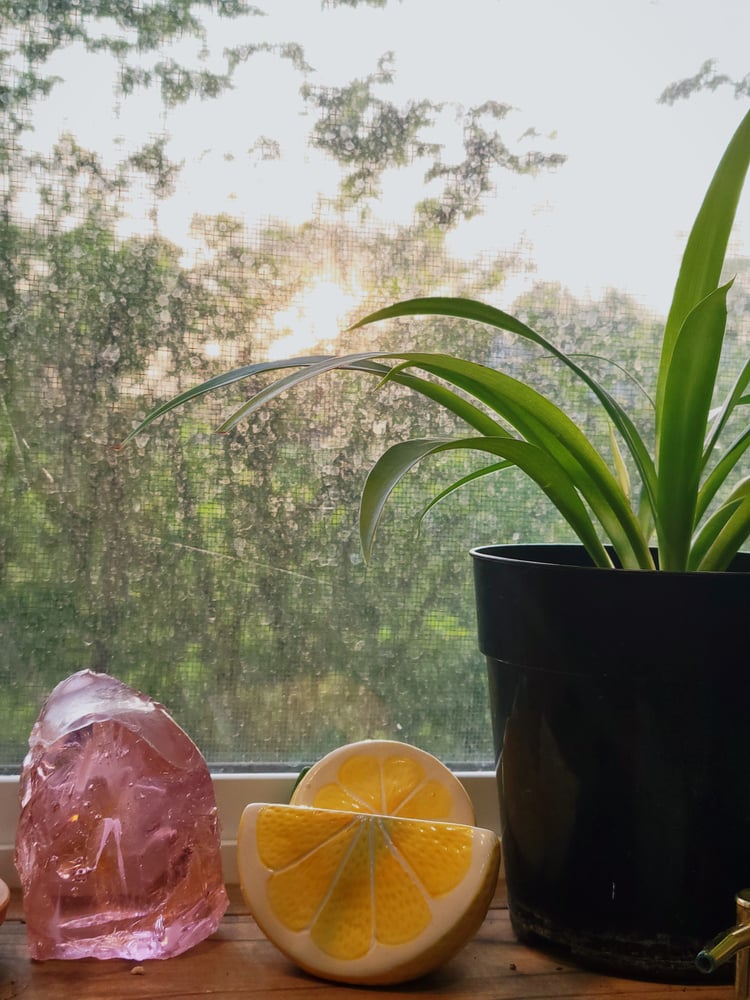 My kitchen window sill is full of plants, rocks, and knick knacks. The sun is setting behind the trees outside