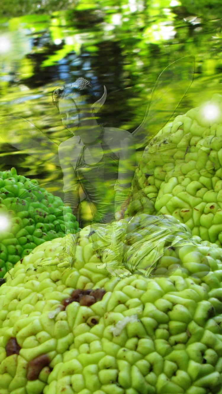 a fairy is sitting on green walnuts in a sunny stream.