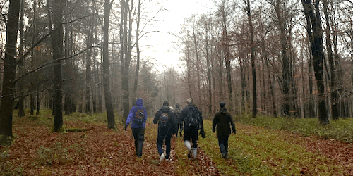 A group walking through a forest in hazy light, seen from the back of the group