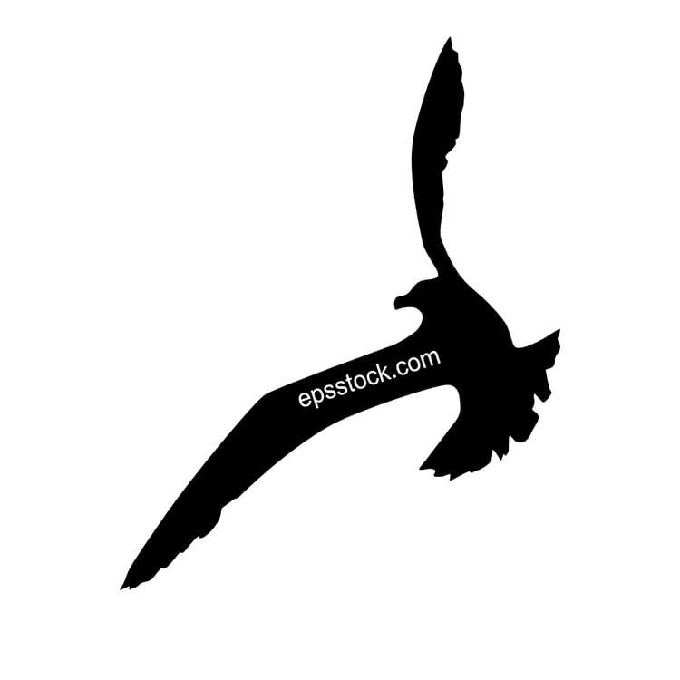 Seagull bird, black isolated vector silhouette