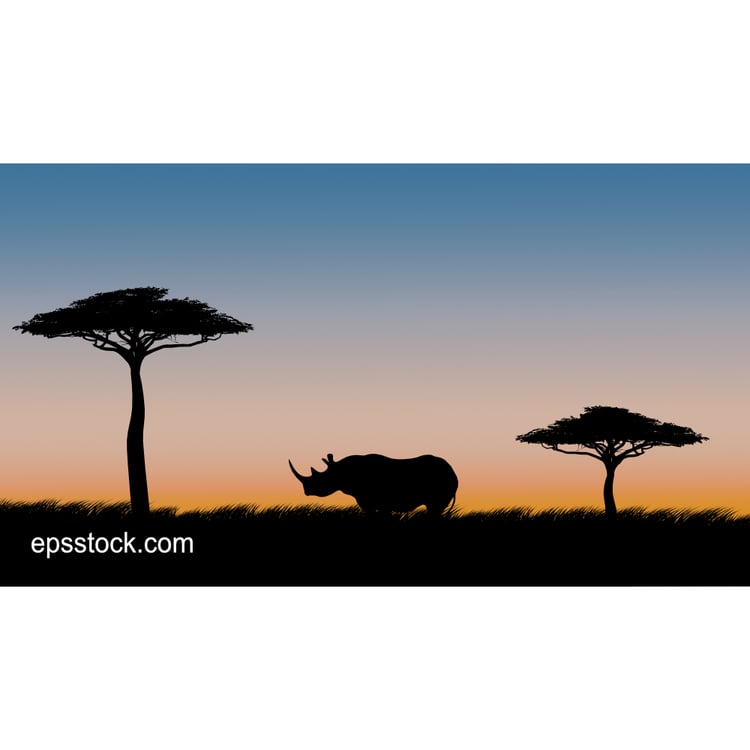 Rhinoceros on safari at sunset, color vector illustration