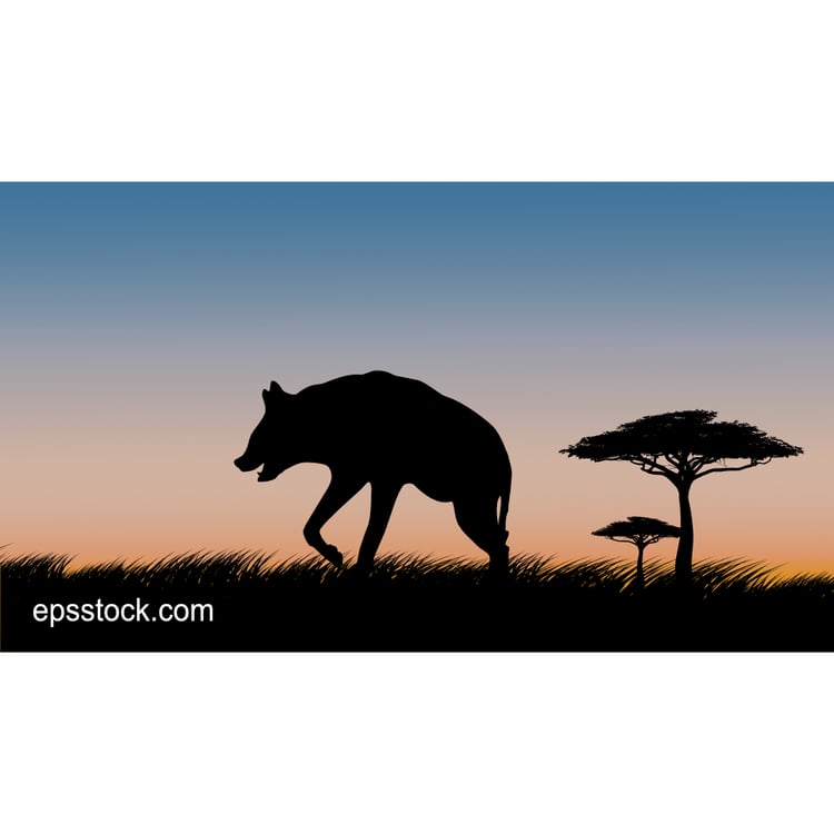 Hyena on safari at sunset, color vector illustration