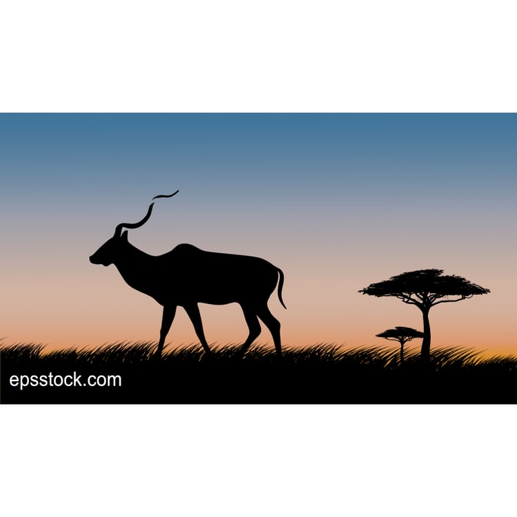 antelope on safari at sunset, color vector illustration