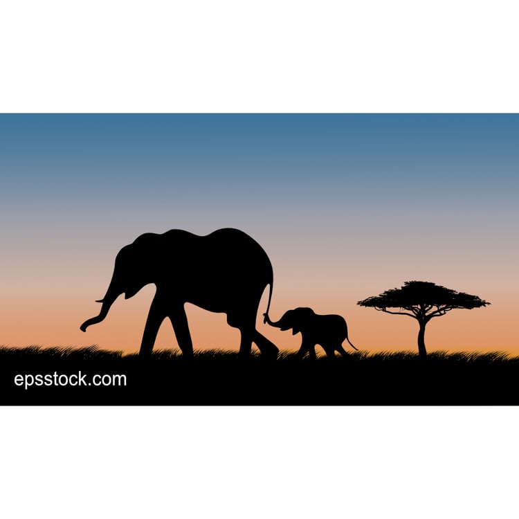 Baby elephant holding on to mother's tailon safari at sunset, color vector illustration