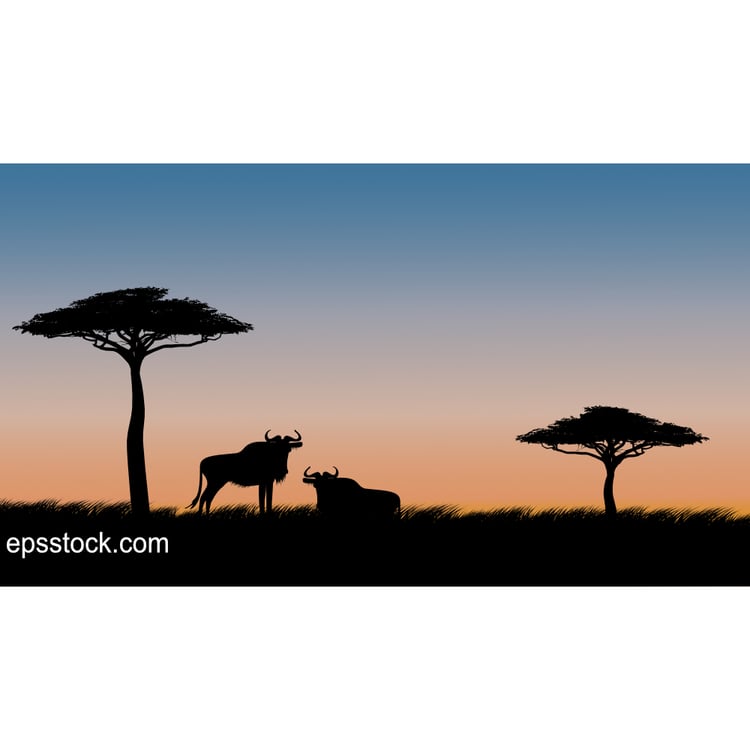 Gnu antelope on safari at sunset, color vector illustration