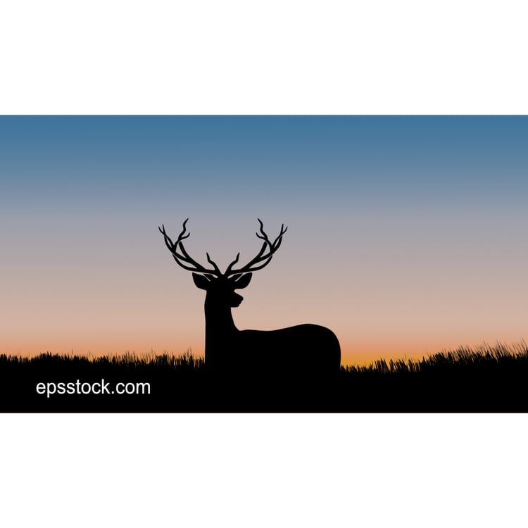 Deer at sunset, color vector illustration