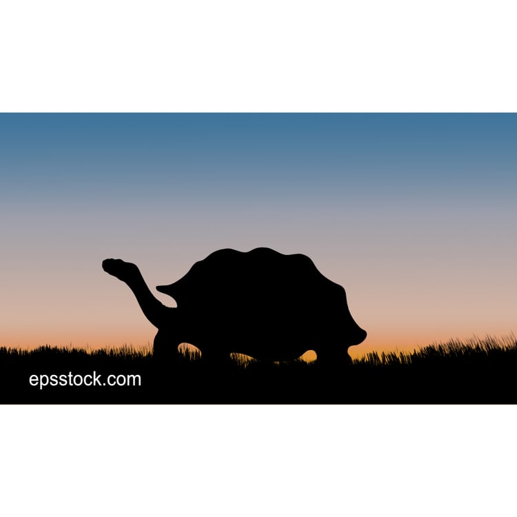 giant tortoise at sunset, color vector illustration