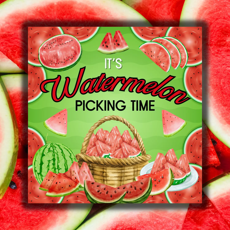 It's Watermelon Picking Time by Sloth Dreams Books & Publishing Company