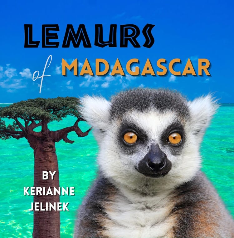 Lemurs of Madagascar by Sloth Dreams Books & Publishing Company