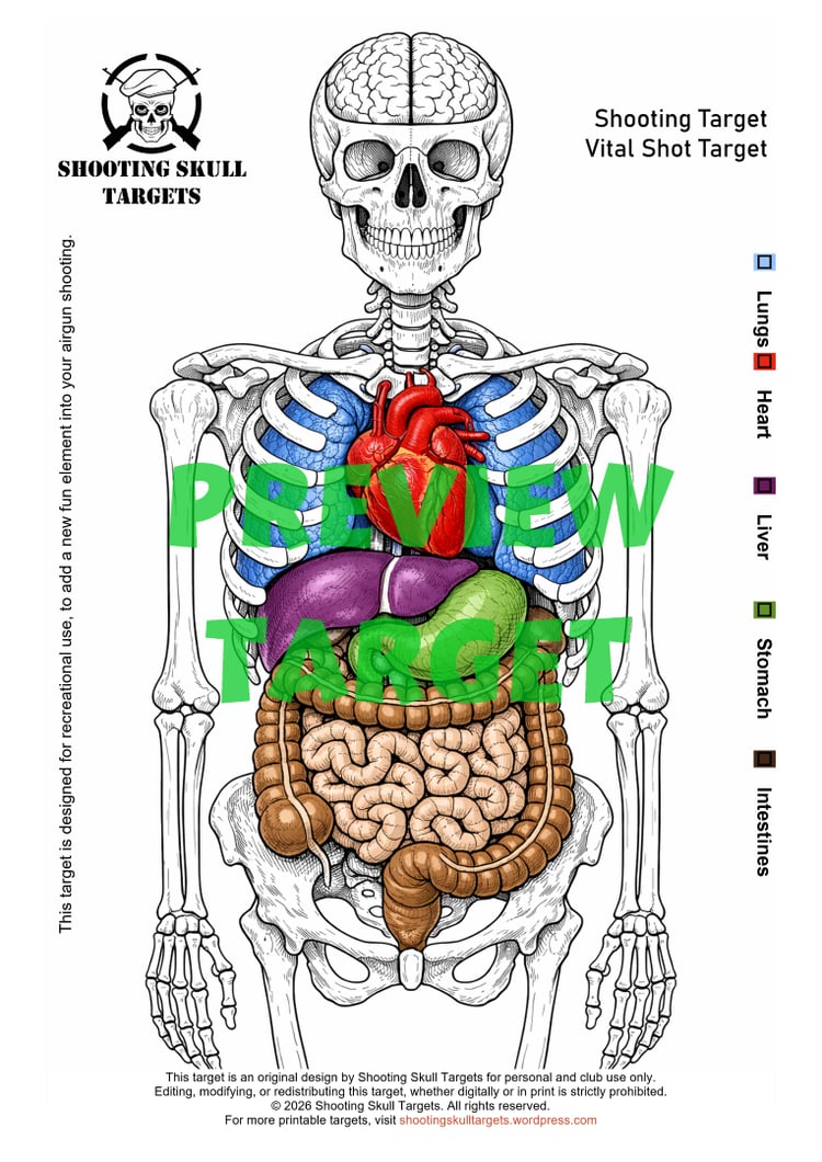 Vital Shot A4 airgun target by Shooting Skull Targets featuring full human anatomy layout, printable instant download shooting target.