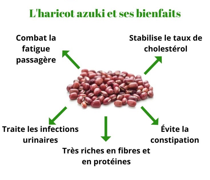 Le Haricot Azuki (Vigna angularis)