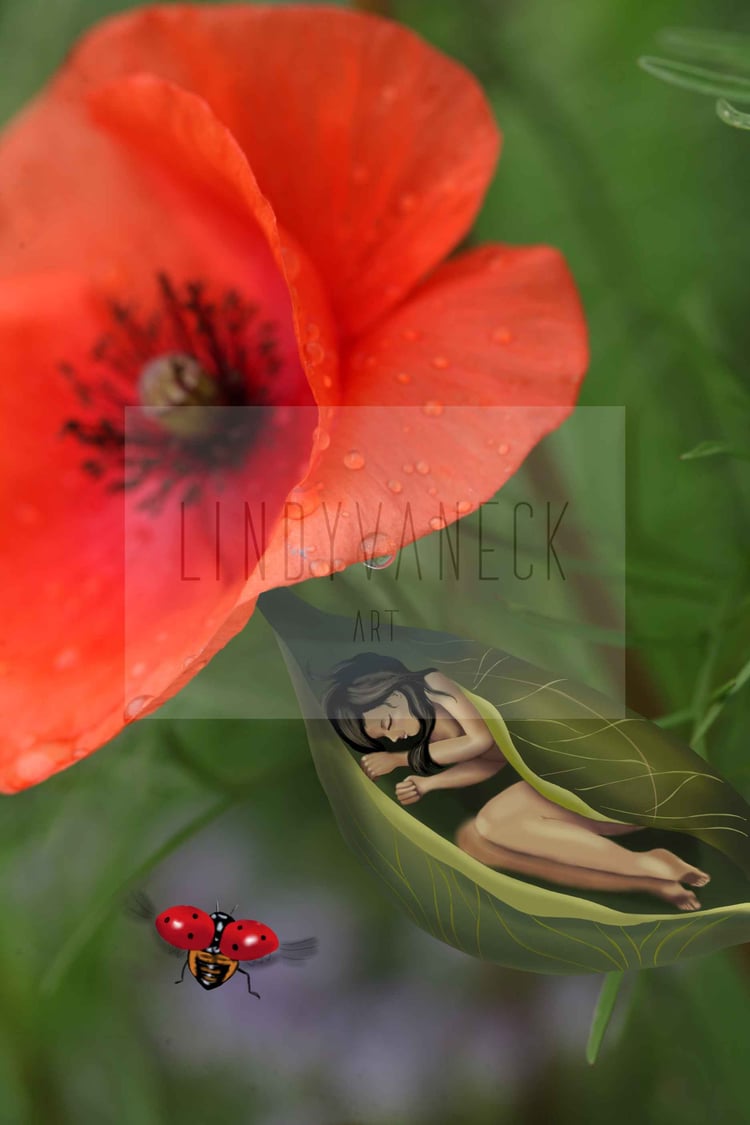 Flowermoon-Poppysleep