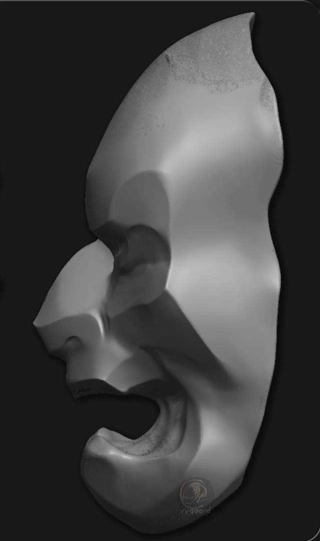 rygaard polish brush pack - polish mask profile sculpt - 3DCoat