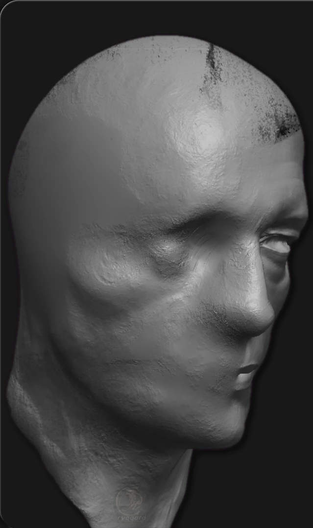 rygaard walter and filler brush pack - dissolve and fill 3/4 face - 3DCoat