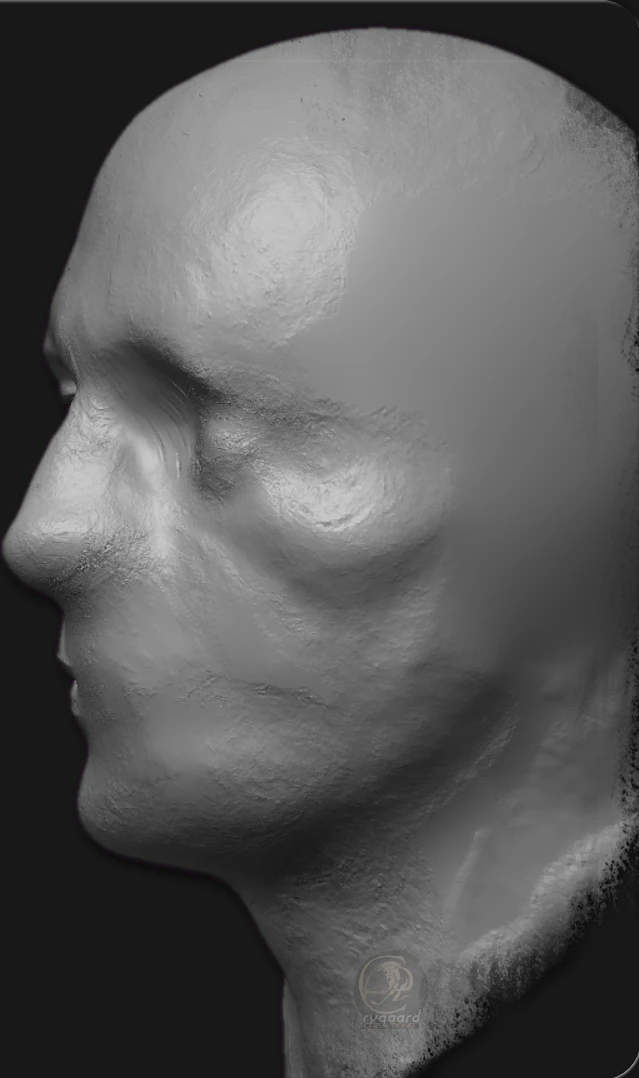 rygaard walter and filler brush pack - dissolve and fill profile face - 3DCoat