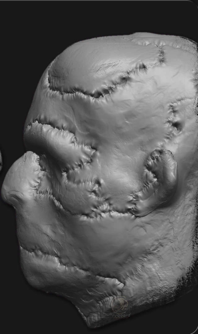 rygaard effect brush pack - effects profile face sculpt - 3DCoat
