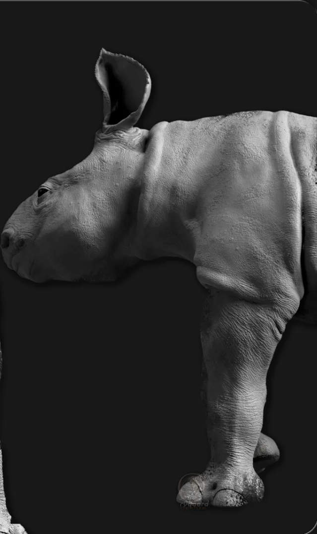 rygaard volume brush pack - baby black rhino profile sculpt - 3DCoat