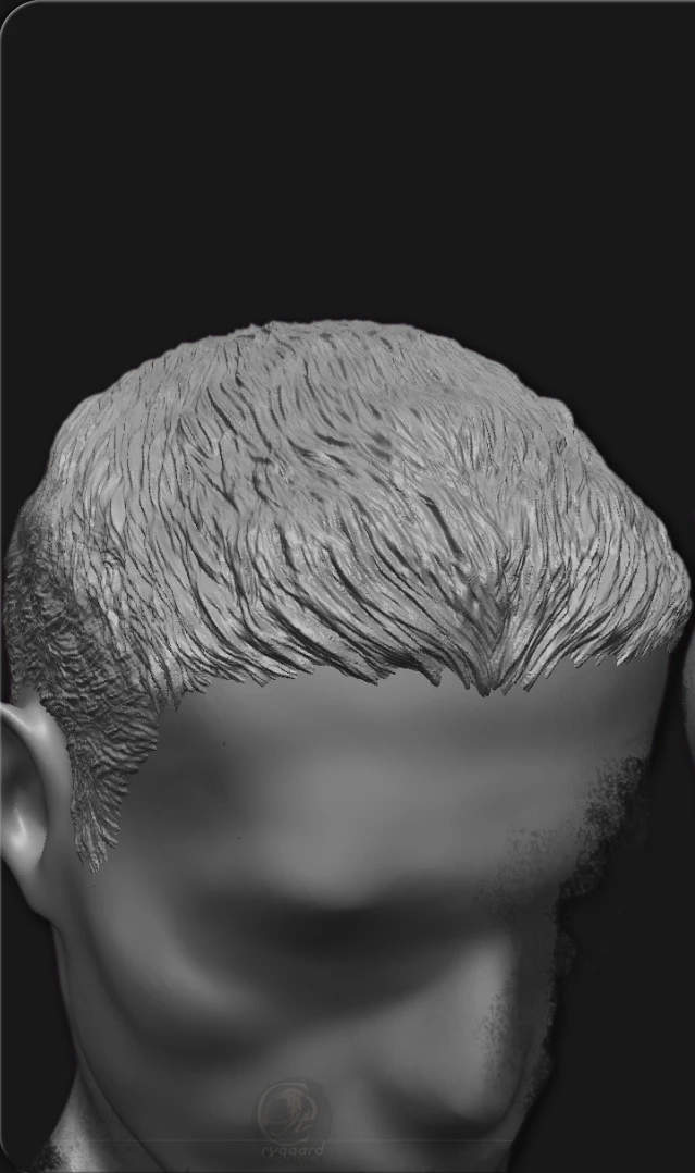 rygaard hair brush pack - style hair 3/4 sculpt - 3DCoat