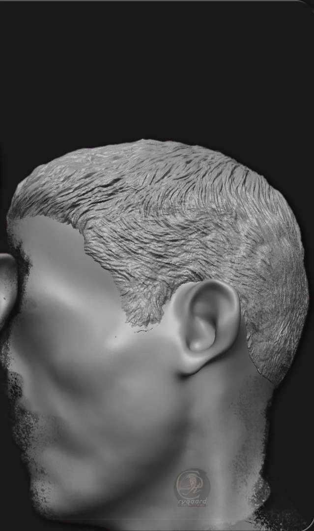 rygaard hair brush pack - style hair profile sculpt - 3DCoat