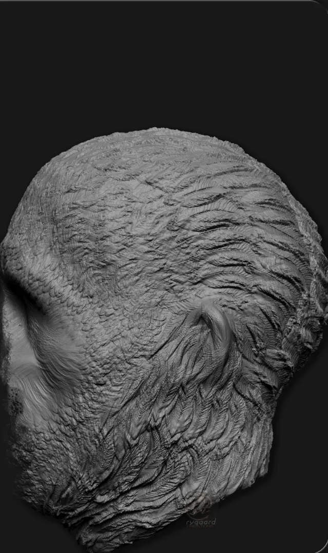 rygaard feather and fur brush pack - different styles hair and fur profile sculpt - 3DCoat