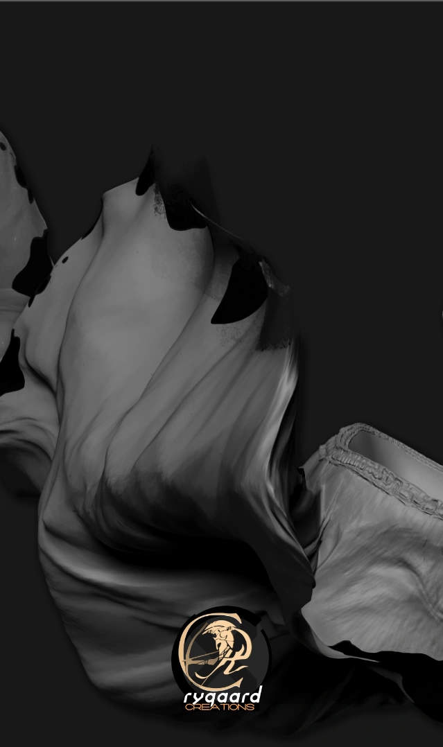 rygaard dynamic cloth brush pack - moviment cloth frontal sculpt - 3DCoat