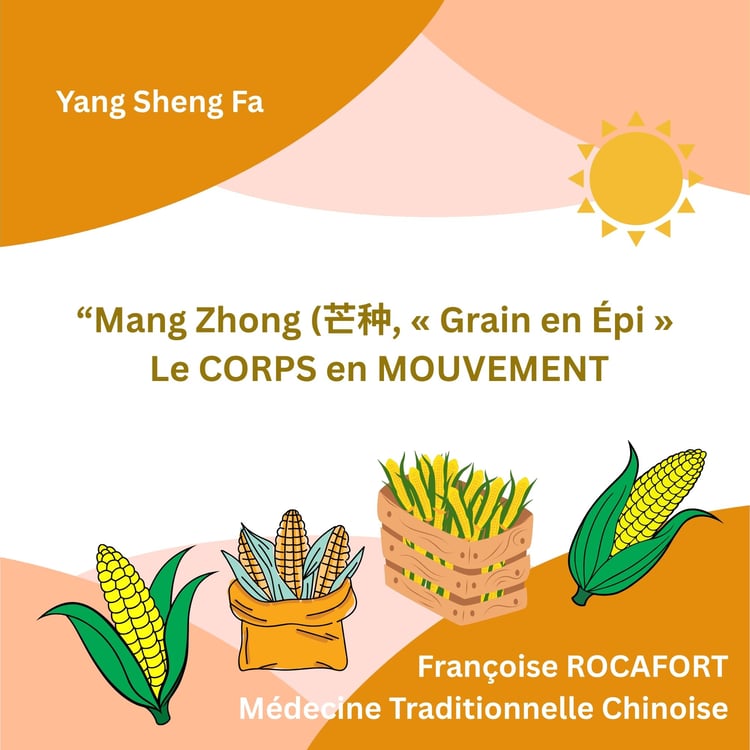 Mang Zhong - Le Corps en Mouvement selon la MTC