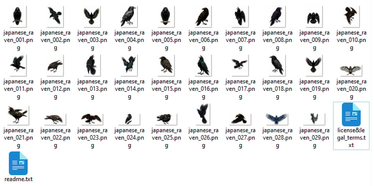 Collection of 29 crow and raven tattoo flash designs featuring traditional Japanese irezumi artwork, isolated bird motifs, and detailed tattoo reference illustrations.