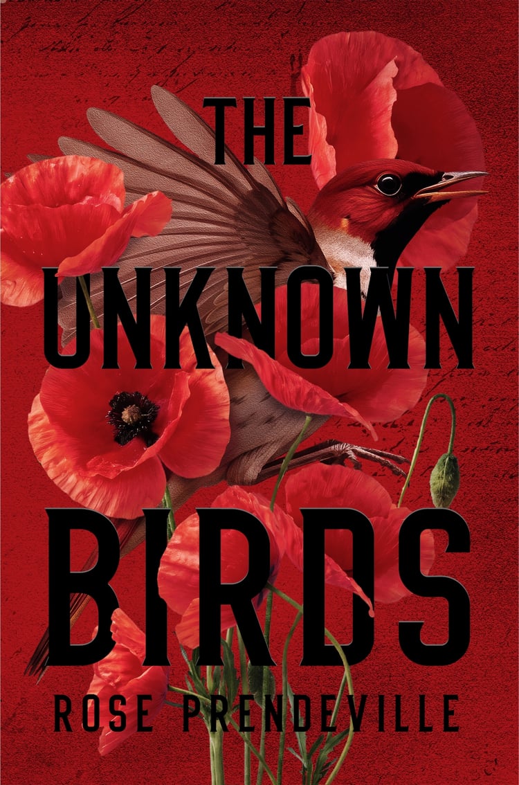 The Unknown Birds by Rose Prendeville