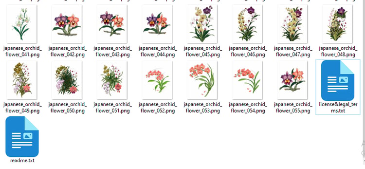 Collection of 55 Japanese orchid flower tattoo flash designs featuring traditional irezumi floral artwork, detailed orchid motifs, and tattoo reference illustrations.