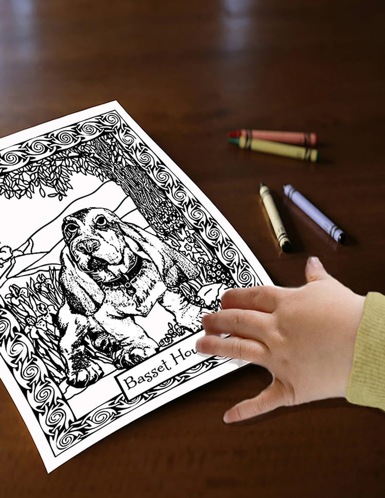 Basset Hound dog to color and to hang after your kid colors it.