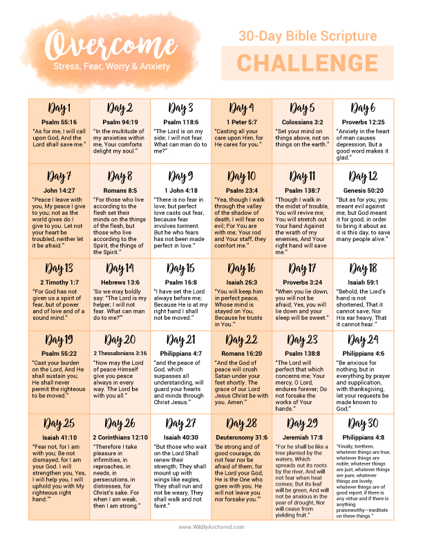 Scripture Challenges Wildly Anchored - 30-Day Scripture Challenges