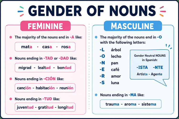 School Supplies, Indefinite Articles, Gender & Number of Nouns in Spanish | Practice Activities
